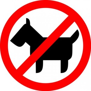 No-dogs